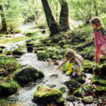 How Riparian Planting Helps Restore Rivers and Protect Nature